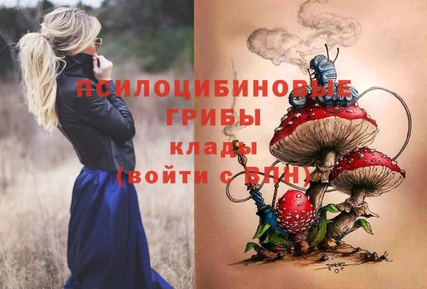 твердый Алзамай