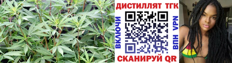 Дистиллят ТГК концентрат  продажа наркотиков  кракен как зайти  Уяр 