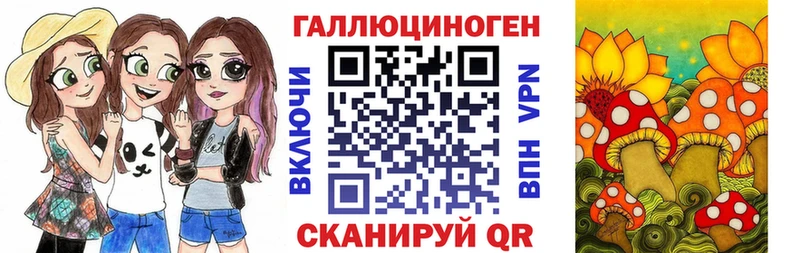 Псилоцибиновые грибы Cubensis  Уяр 